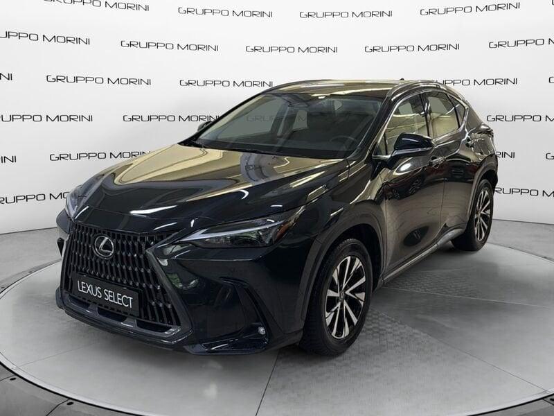 Lexus NX Hybrid Business 4WD