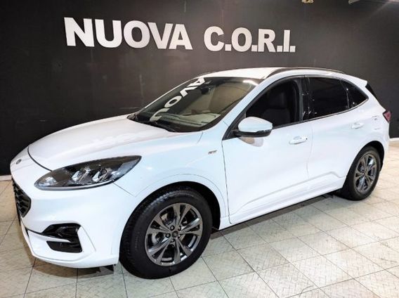 FORD Kuga 1.5 EcoBlue 120 CV aut. 2WD ST-Line