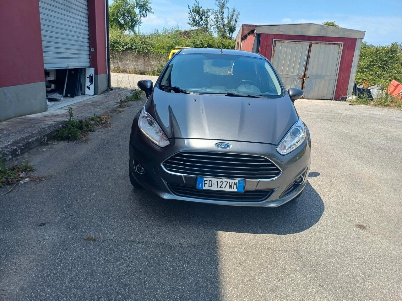 Ford Fiesta 1.5 TDCi 75CV 5 porte Black & White Edition