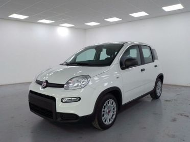 FIAT Panda 1.0 firefly hybrid s&s 70cv