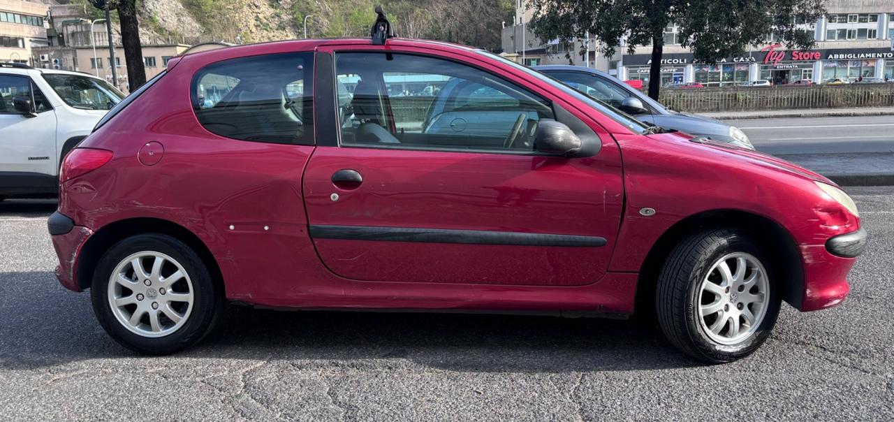 Peugeot 206 1.4 3p. XR si può guidare per Neoptentati