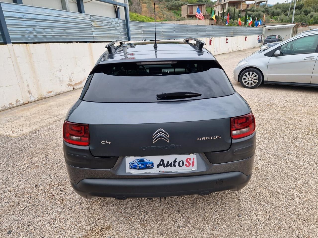 Citroen C4 Cactus BlueHDi 100 S&S Live