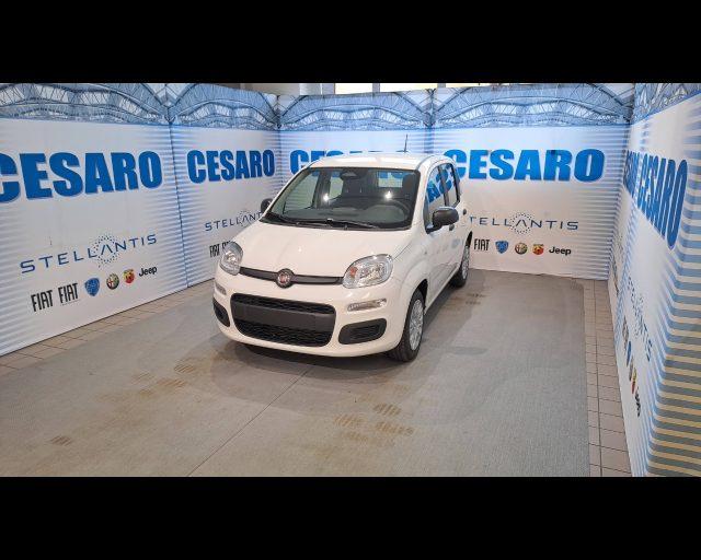 FIAT Panda 1.0 firefly hybrid Icon s&s 70cv