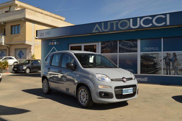 FIAT Panda 1.0 FireFly S&S Hybrid 70 CV