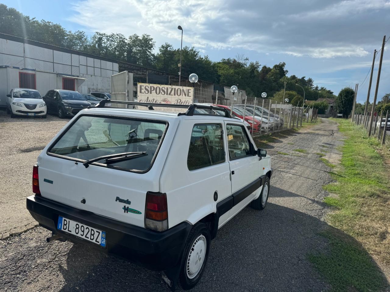 Fiat Panda 900 i.e. cat Young