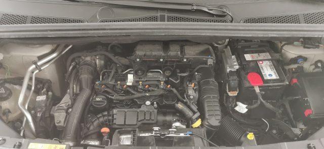 OPEL Combo Cargo 1.5 Diesel 100CV S&S PC 1000kg Edition