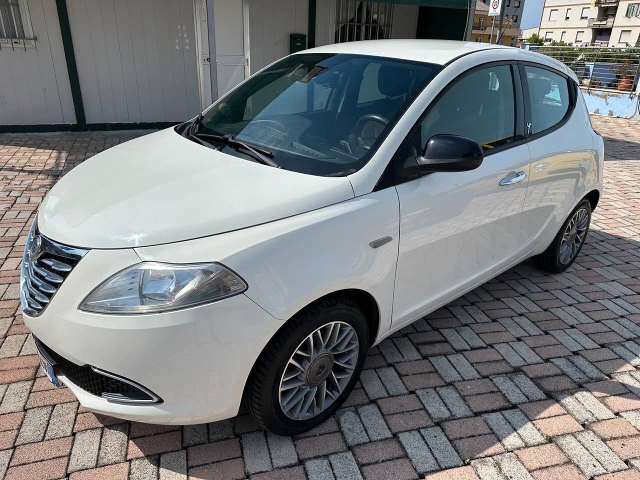 Lancia Ypsilon 1.3 MJT 16V 95 CV 5 porte S&S Gold