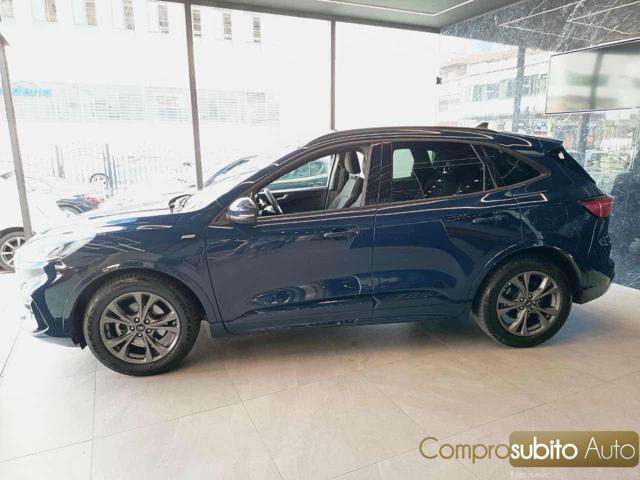 FORD Kuga 1.5 EcoBlue 120 CV 2WD Titanium Business