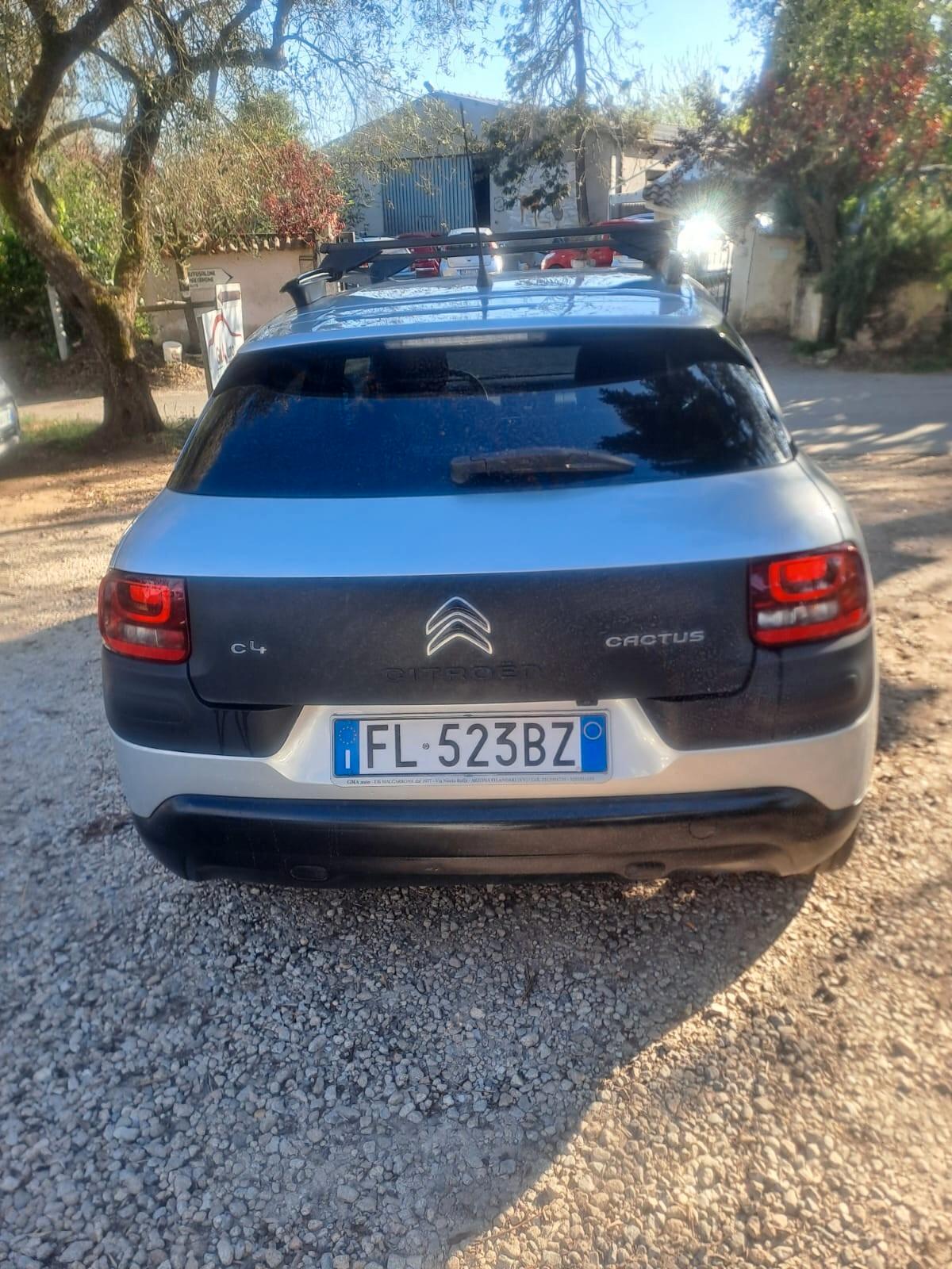 Citroen C4 Cactus BlueHDi 100 S&S ETG6 Shine
