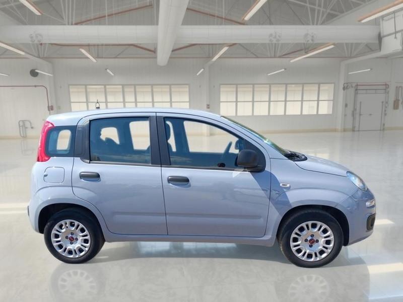 FIAT PANDA 1.2 69cv S/S E6d-Temp Easy 5 PORTE