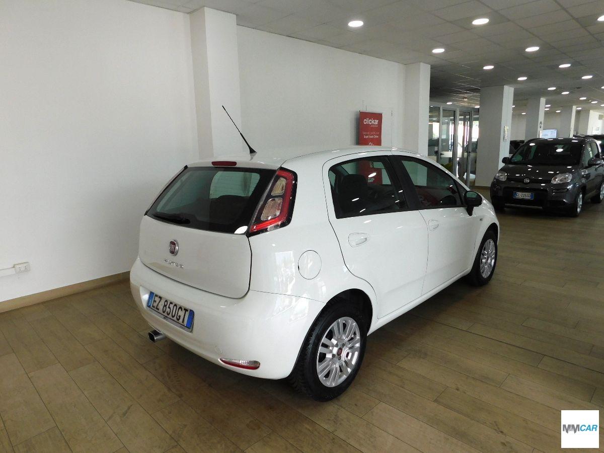 FIAT - Punto - 1.2 8V 5p. Lounge