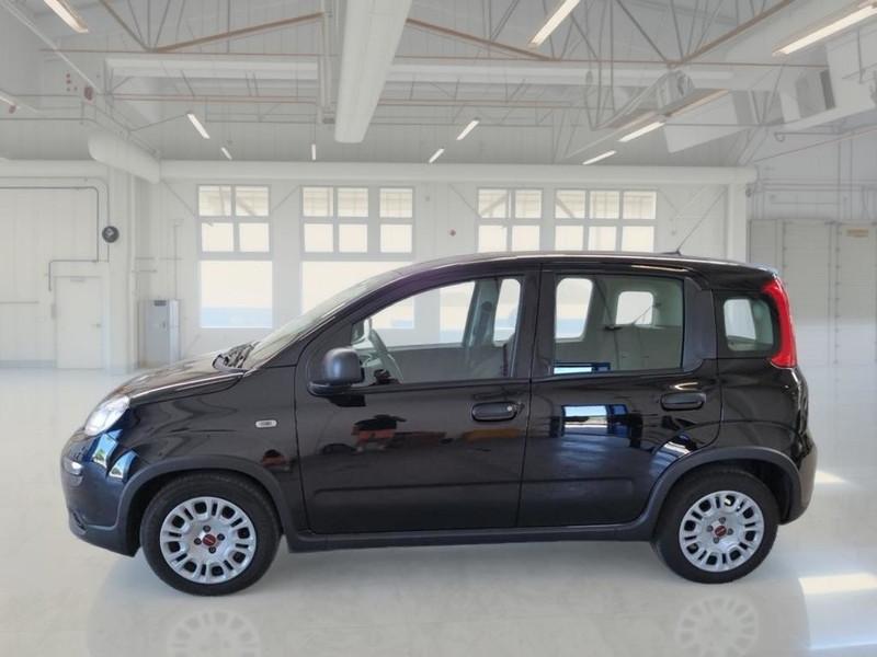 FIAT PANDA 1.0 FireFly 70cv S/S Hybrid 5 PORTE