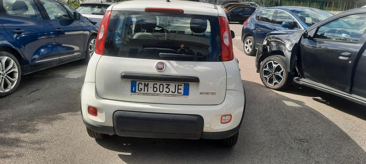 Fiat Panda 1.0 FireFly S&S Hybrid anno 2023