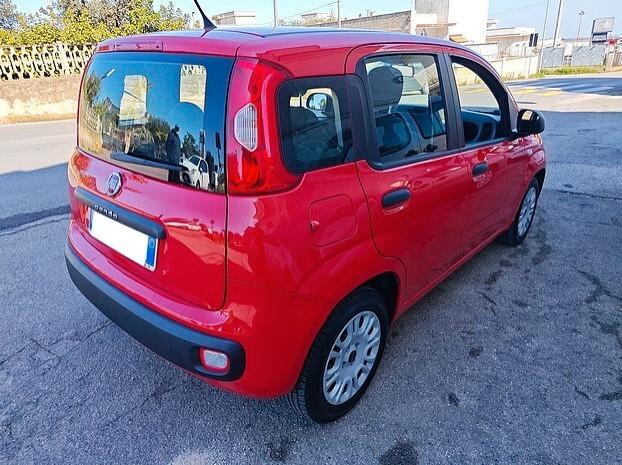 FIAT Panda 1.2 Benzina - 2017