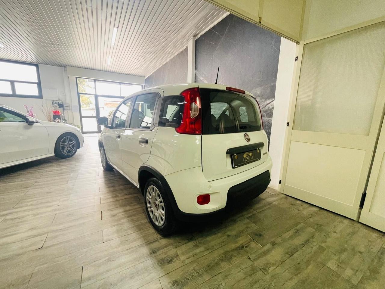 Fiat Panda 1.0 FireFly S&S Hybrid AZIENDALE 5 POSTI KM 1.633