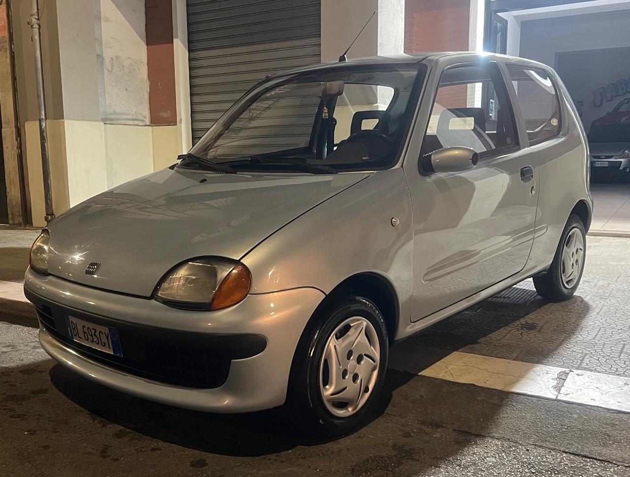 Fiat Seicento 900i cat Young