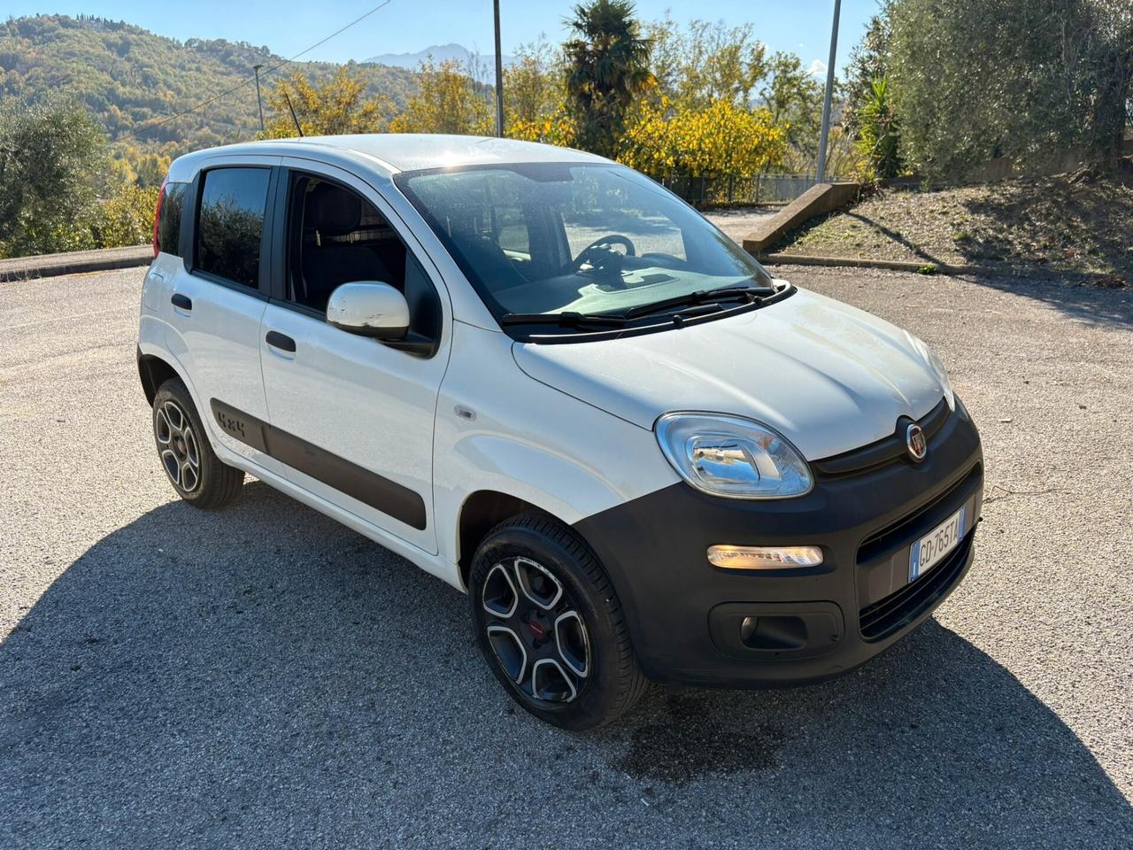 Fiat Panda 0.9Turbo S&S 4x4 Eld Pop N1-Van -2021