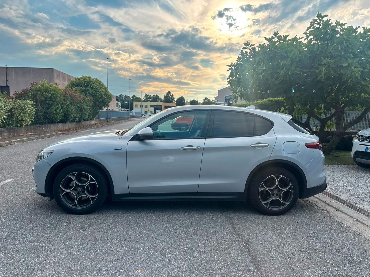 Alfa Romeo Stelvio 2.2 Turbodiesel 190 CV AT8 Q4 Business