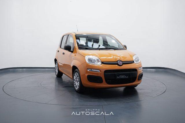 FIAT New Panda 1.2 69cv GPL EasyPower Easy