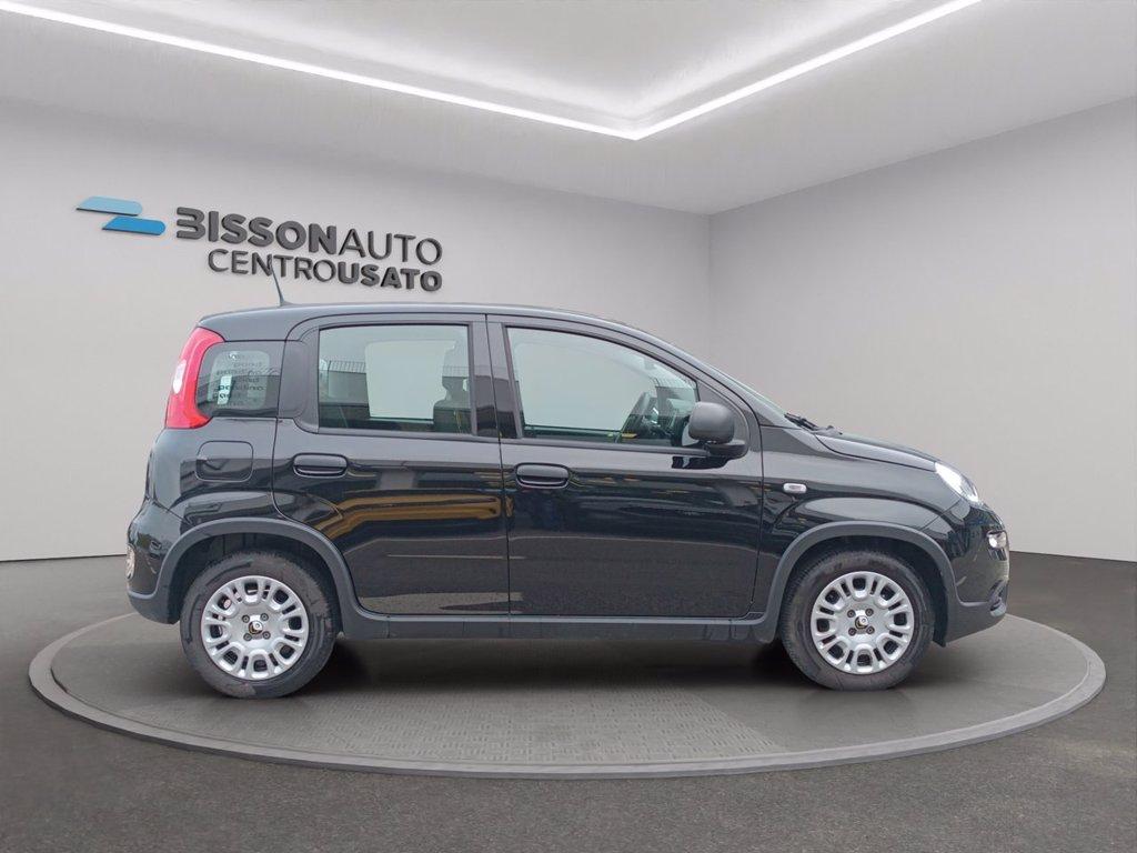FIAT Panda 1.0 firefly hybrid s&s 70cv del 2024
