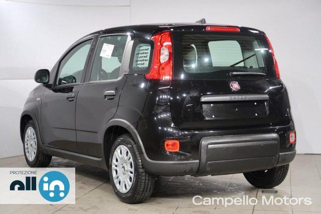 FIAT Panda Panda 1.0 70cv Hybrid Panda