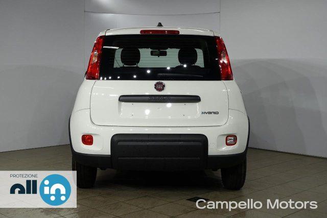 FIAT Panda Panda 1.0 70cv Hybrid Panda My23