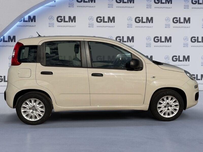 FIAT Panda Panda 1.2 Easy 69cv
