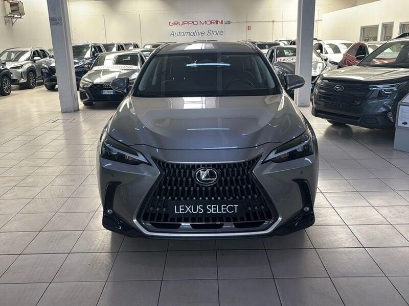 Lexus NX Hybrid Premium+ 4WD