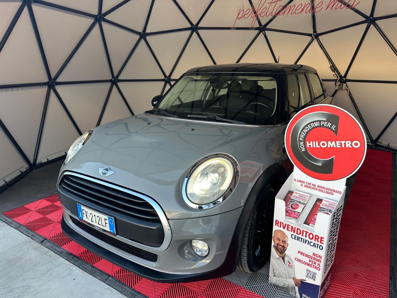 Mini 1.5 One D Hype