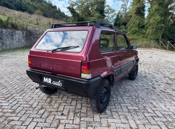 Fiat Panda 1.1 Fire Trekking 4x4 cat.