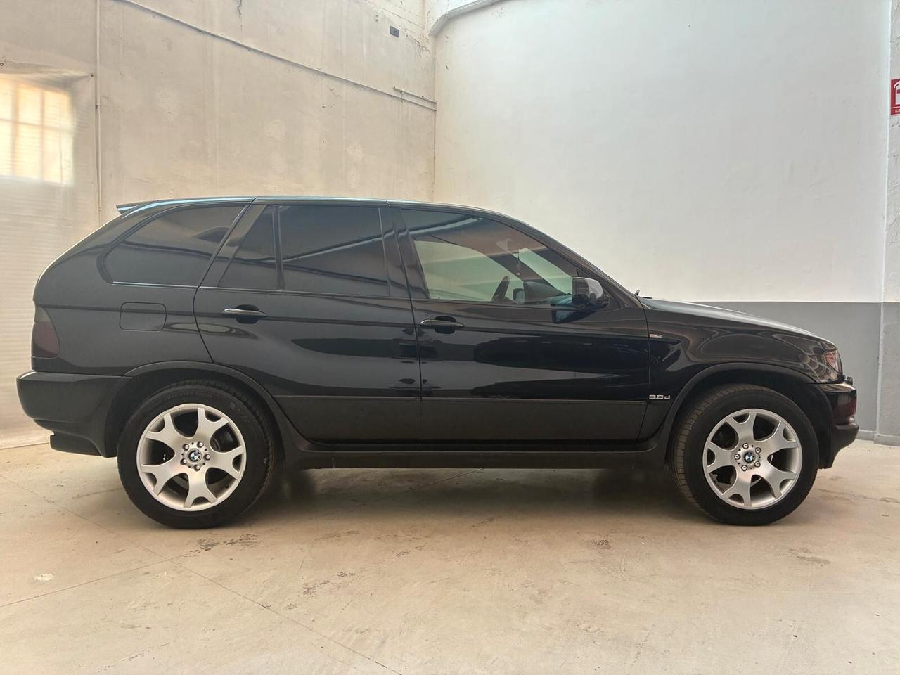 Bmw X5 3.0d cat