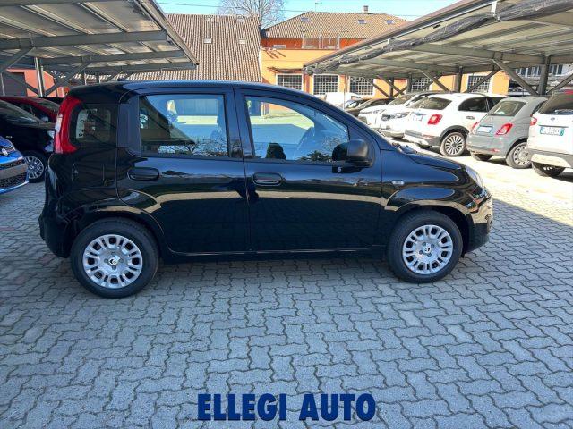 FIAT Panda PROMO FINANZ 1.0 HYBRID +PACK ICON KM 0