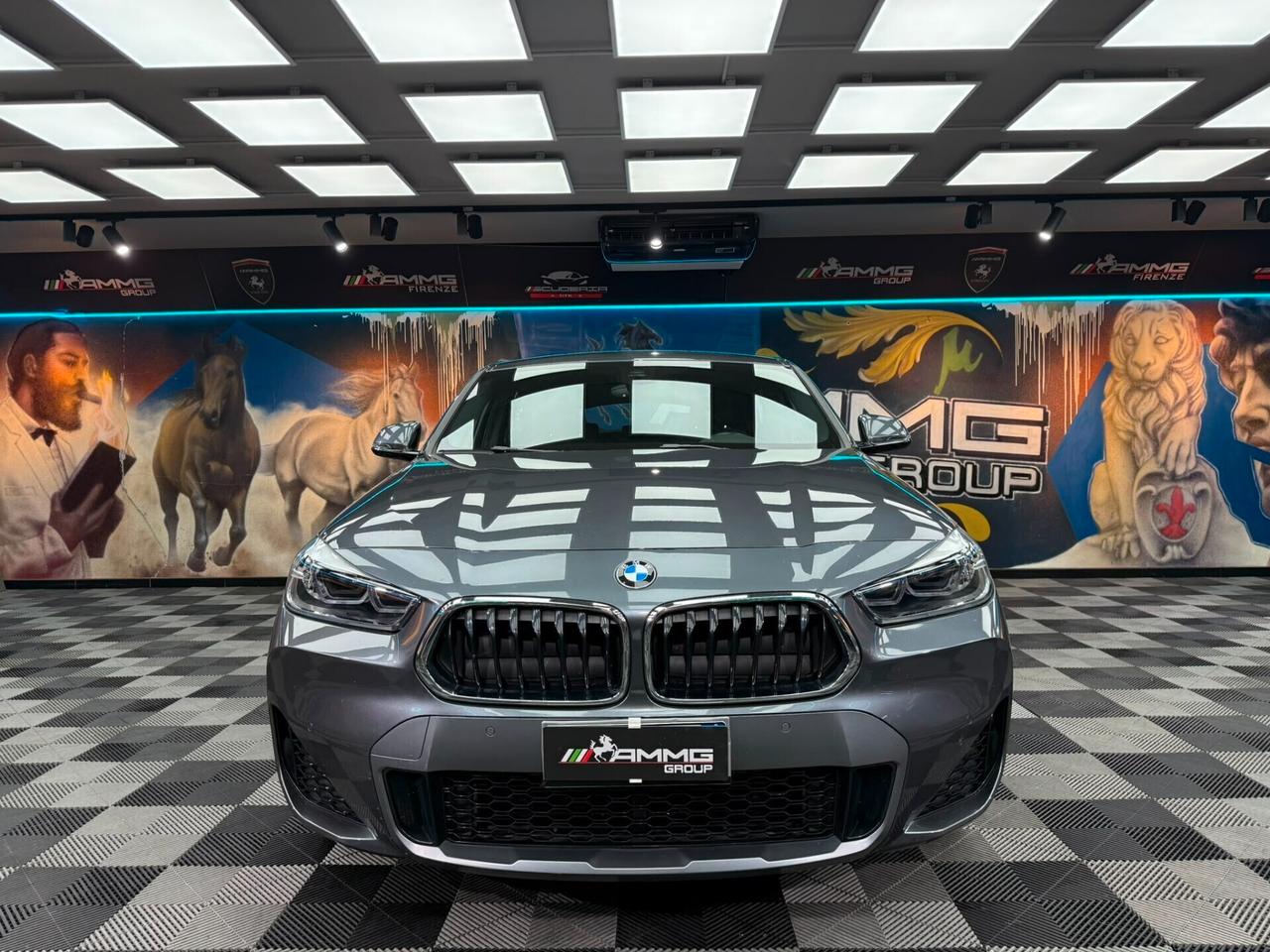 Bmw X2 sDrive18d Msport-X (611)