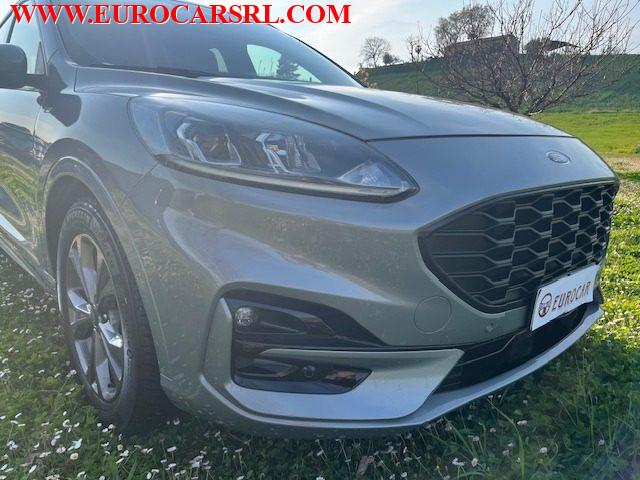 FORD Kuga 1.5 EcoBlue 120 CV 2WD ST-Line