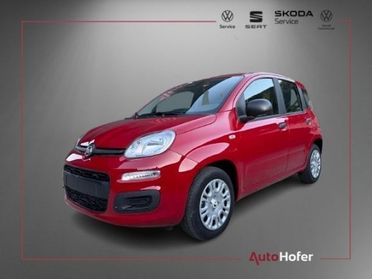 FIAT Panda 1.0 FireFly S&S Hybrid Radio Clima 5P **AKTION**