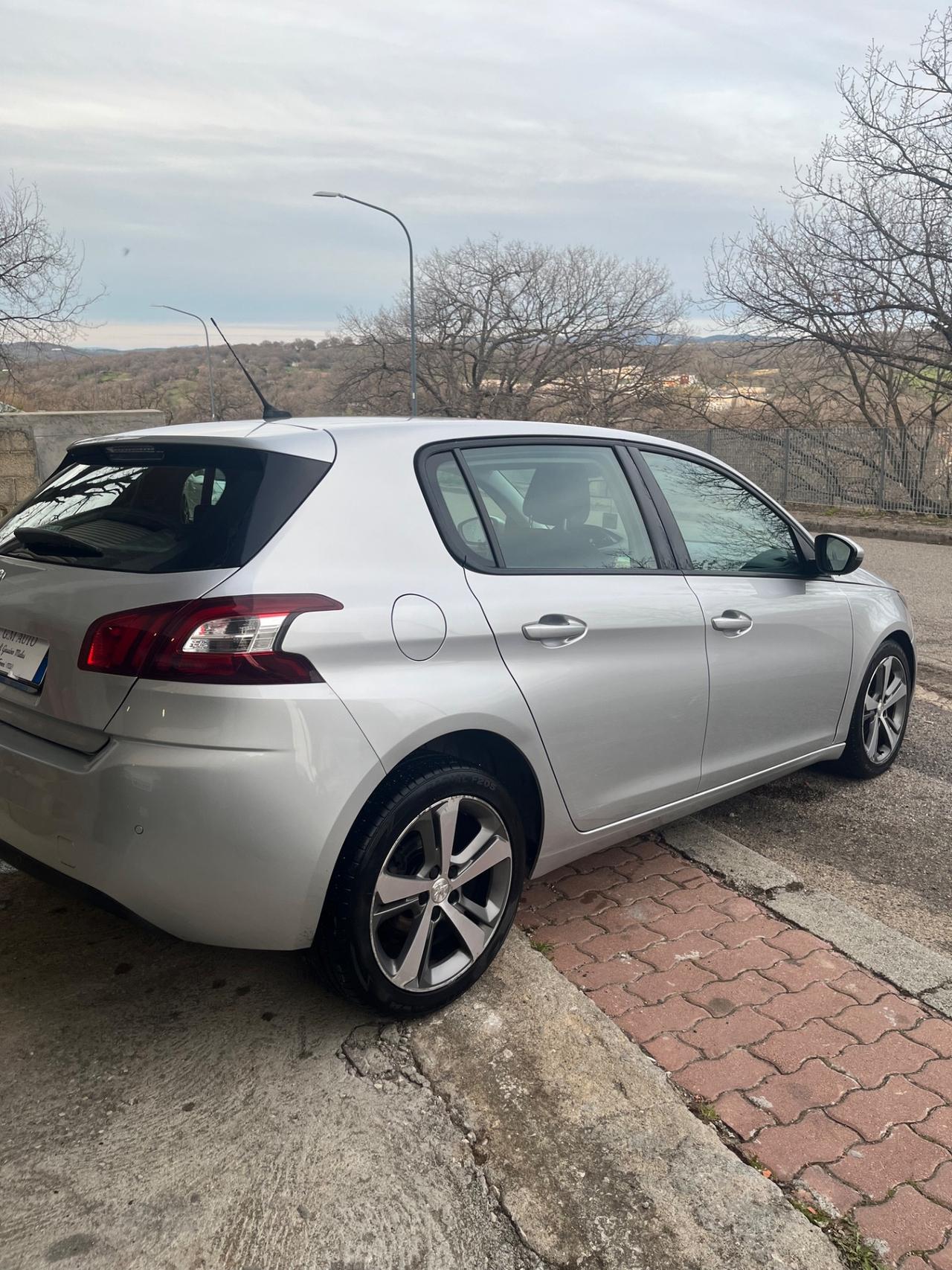 Peugeot 308 1.6 HDi 92 CV Business