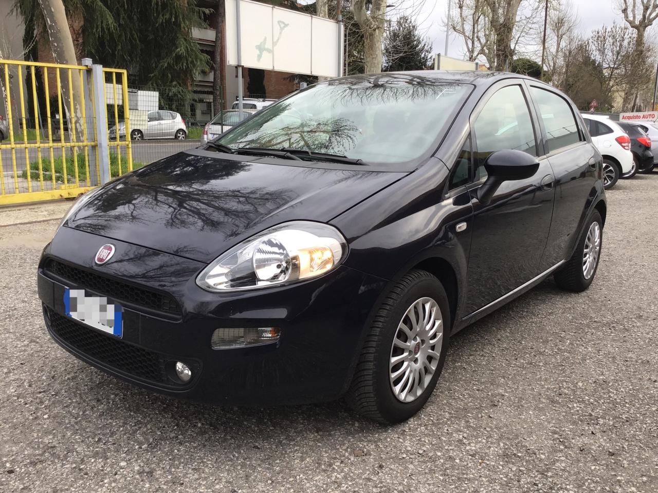 Fiat Punto 1.2 8V 5 porte Benz/GPL OK NEOPATENTATI