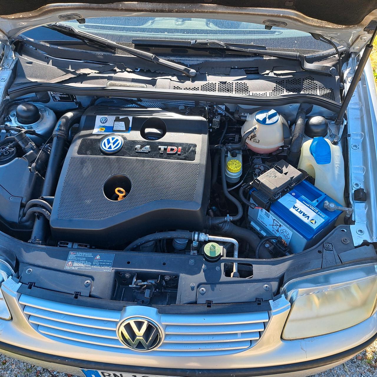 Volkswagen Polo 1.4 TDI cat 5 porte Comfortline