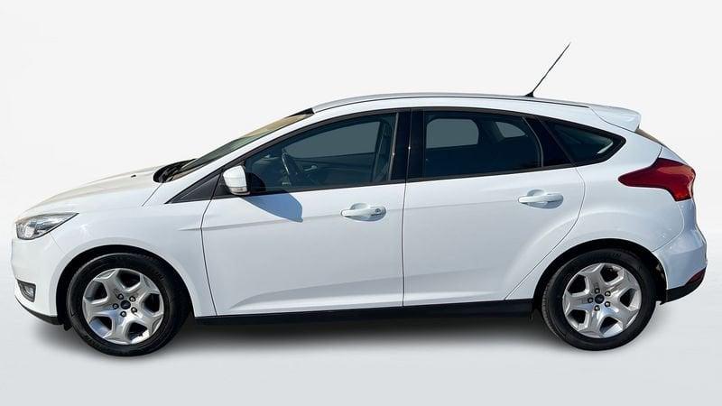 Ford Focus 5 Porte 1.6 120cv Plus