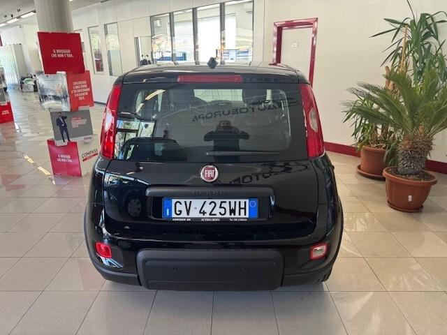 FIAT Panda 3ª serie Panda 1.0 FireFly S&S Hybrid