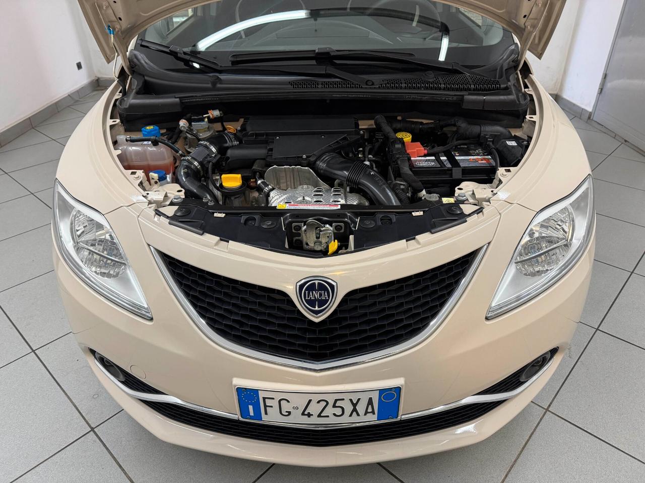 Lancia Ypsilon 1.3 MJT 16V 95 CV 5 porte Gold 2017