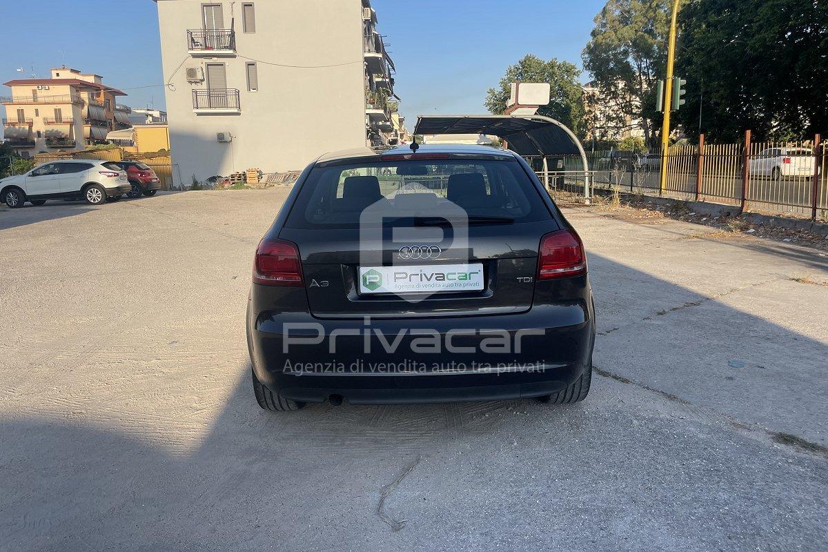 AUDI A3 1.6 TDI 105 CV CR Ambition