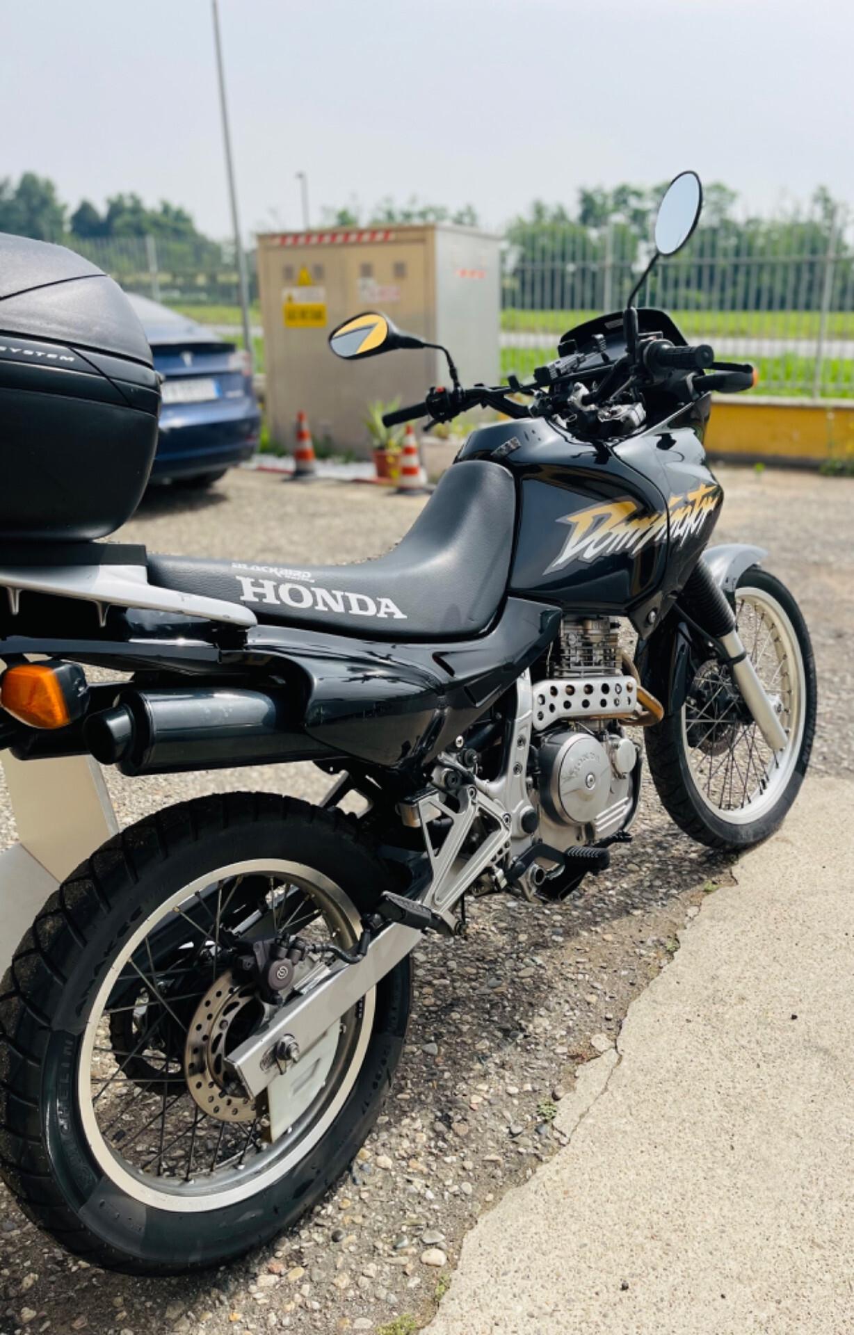 Honda DOMINATOR