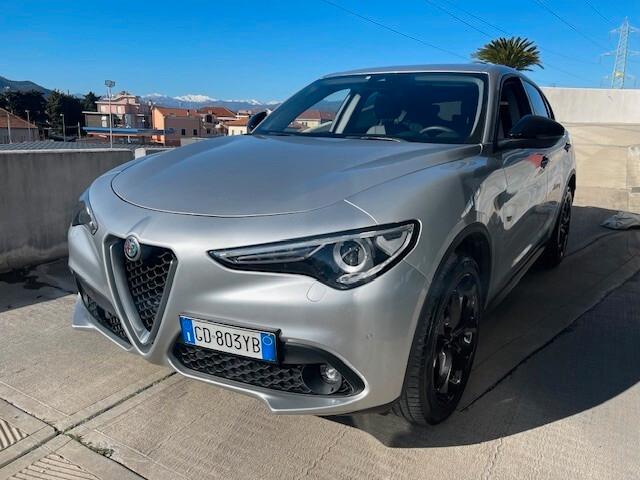 Alfa Romeo Stelvio 2.2 Turbodiesel 210 CV AT8 Q4 Executive