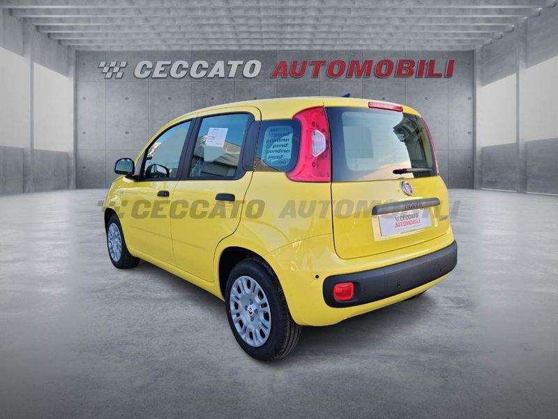 FIAT Panda Panda 1.0 70cv Hybrid Icon