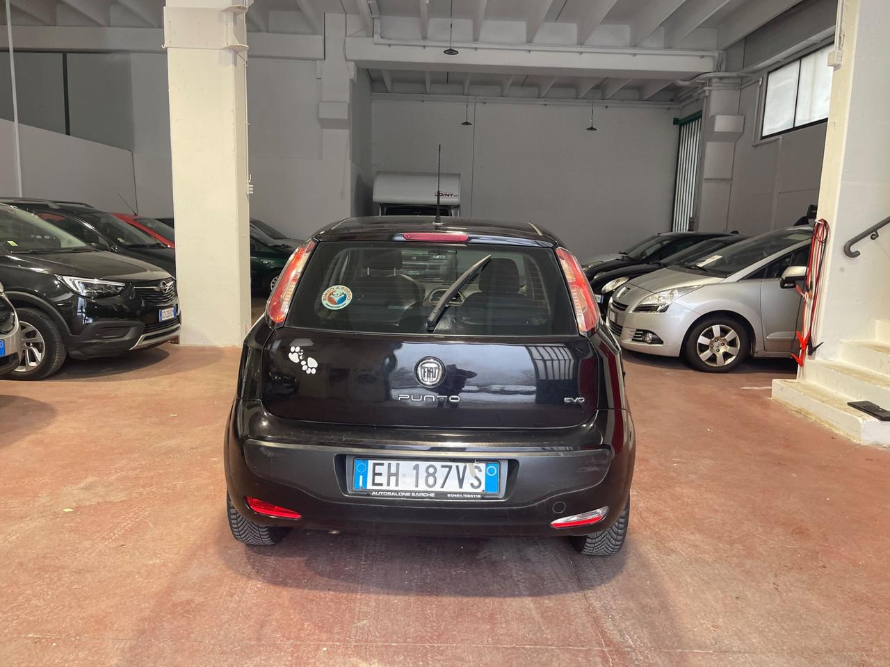 Fiat Punto Evo 1.3 Mjt 95 CV DPF 5 porte S&S Emotion