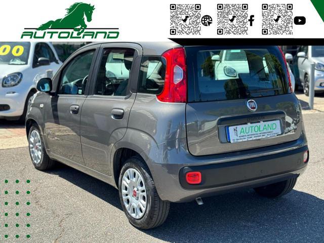 FIAT Panda 1.0 FireFly S&S Hybrid Sensori Parcheggio
