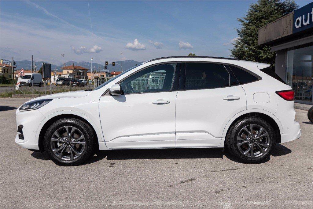 FORD Kuga 1.5 ecoblue ST-Line 2wd 120cv del 2021