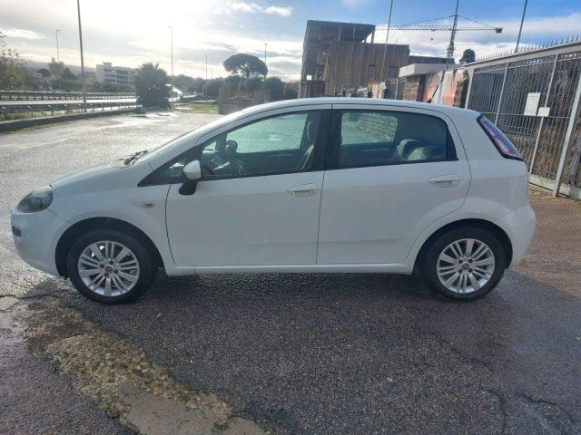 FIAT Punto 1.2 8V 5 porte Lounge