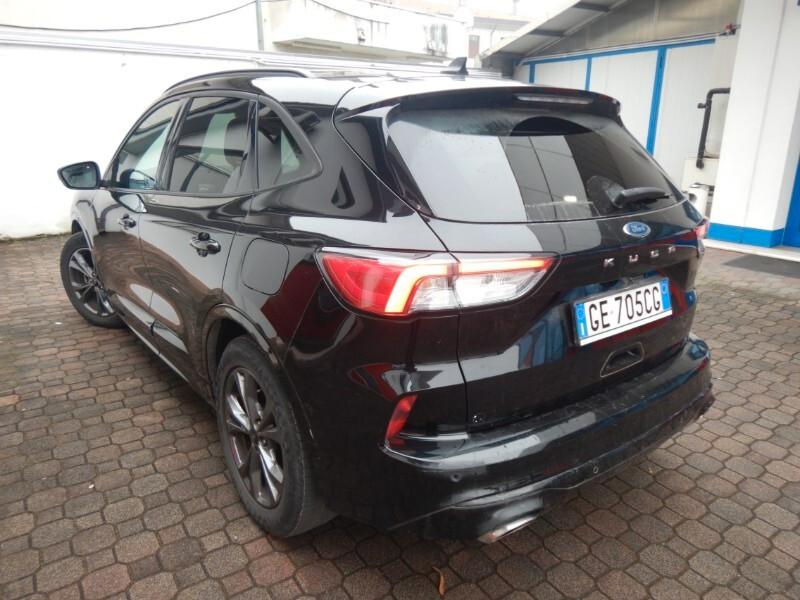 Ford Kuga 1.5 EcoBlue 120 CV 2WD ST-Line